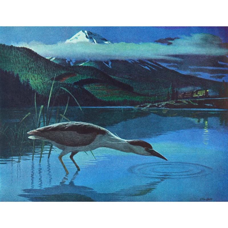 Marmont Hill - 'Night Heron' Painting Print on Wrapped Canvas - Multi-Color