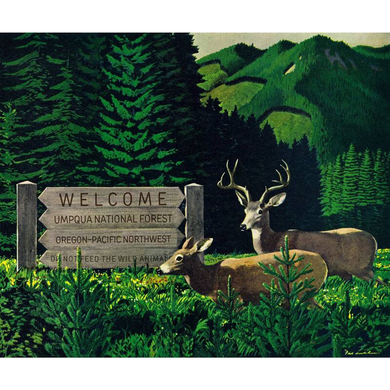 Marmont Hill - 'Umpqua Natl Forest' Painting Print on Wrapped Canvas - Multi-Color