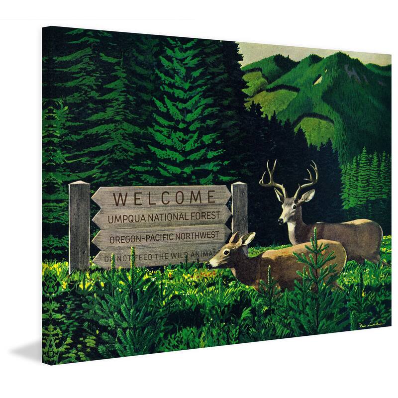 Marmont Hill - 'Umpqua Natl Forest' Painting Print on Wrapped Canvas - Multi-Color