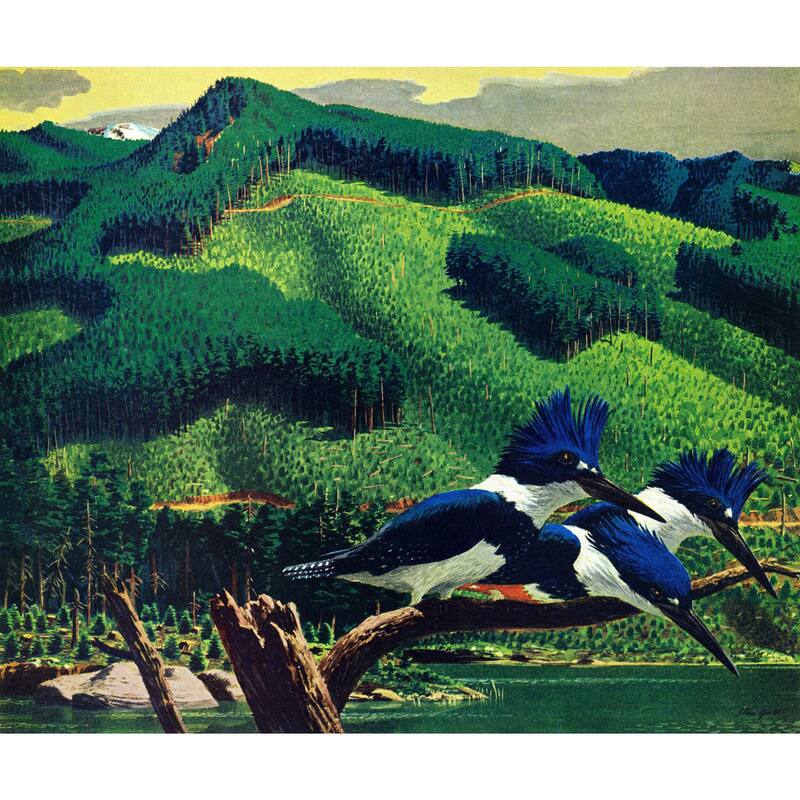 Marmont Hill - 'Kingfishers' Painting Print on Wrapped Canvas - Multi-Color