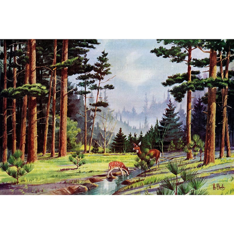 Marmont Hill - 'Minnesota Woods' Painting Print on Wrapped Canvas - Multi-Color