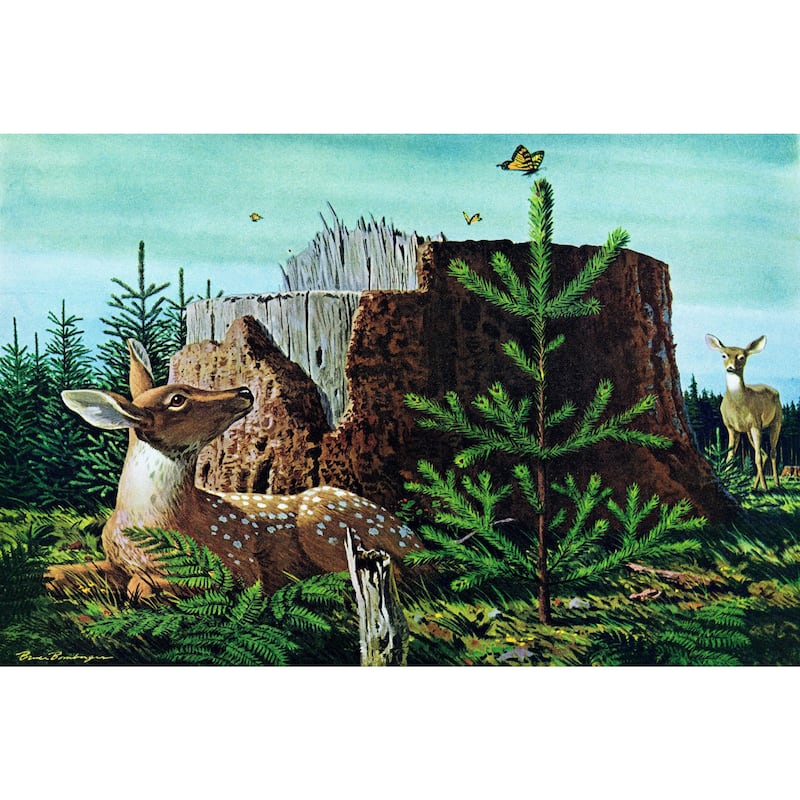 Marmont Hill - 'Butterfly and Deer' Painting Print on Wrapped Canvas - Multi-Color
