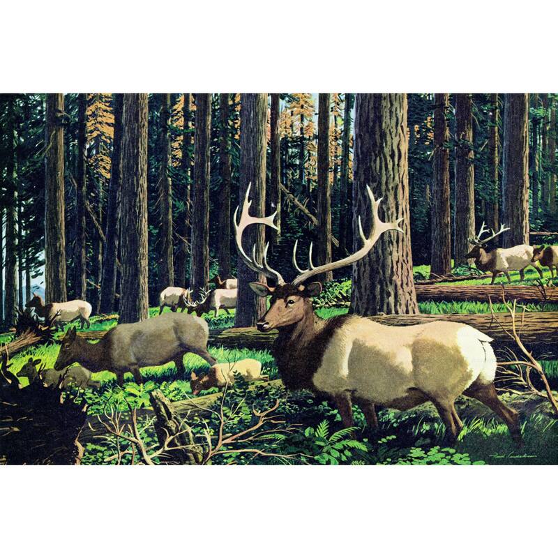 Marmont Hill - 'Elk Herd' Painting Print on Wrapped Canvas - Multi-Color