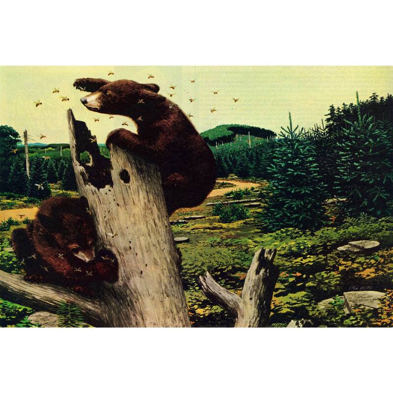 Marmont Hill - 'Honey Bears' Painting Print on Wrapped Canvas - Multi-Color