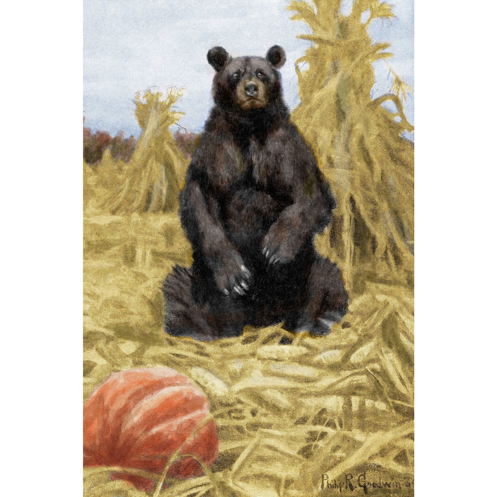 Marmont Hill - 'Bear in Hay' Painting Print on Wrapped Canvas - Multi-Color