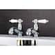 Option Polished chrome