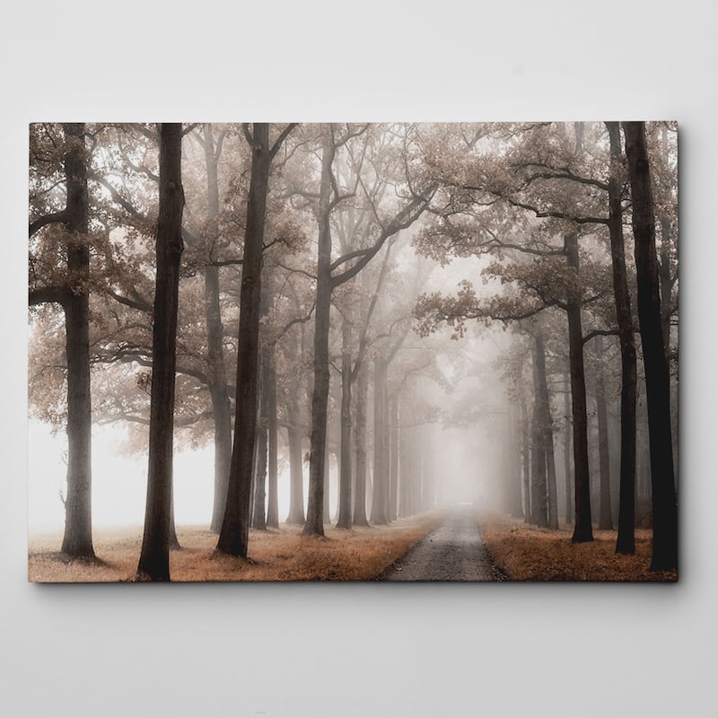Misty Road Canvas Wall Art