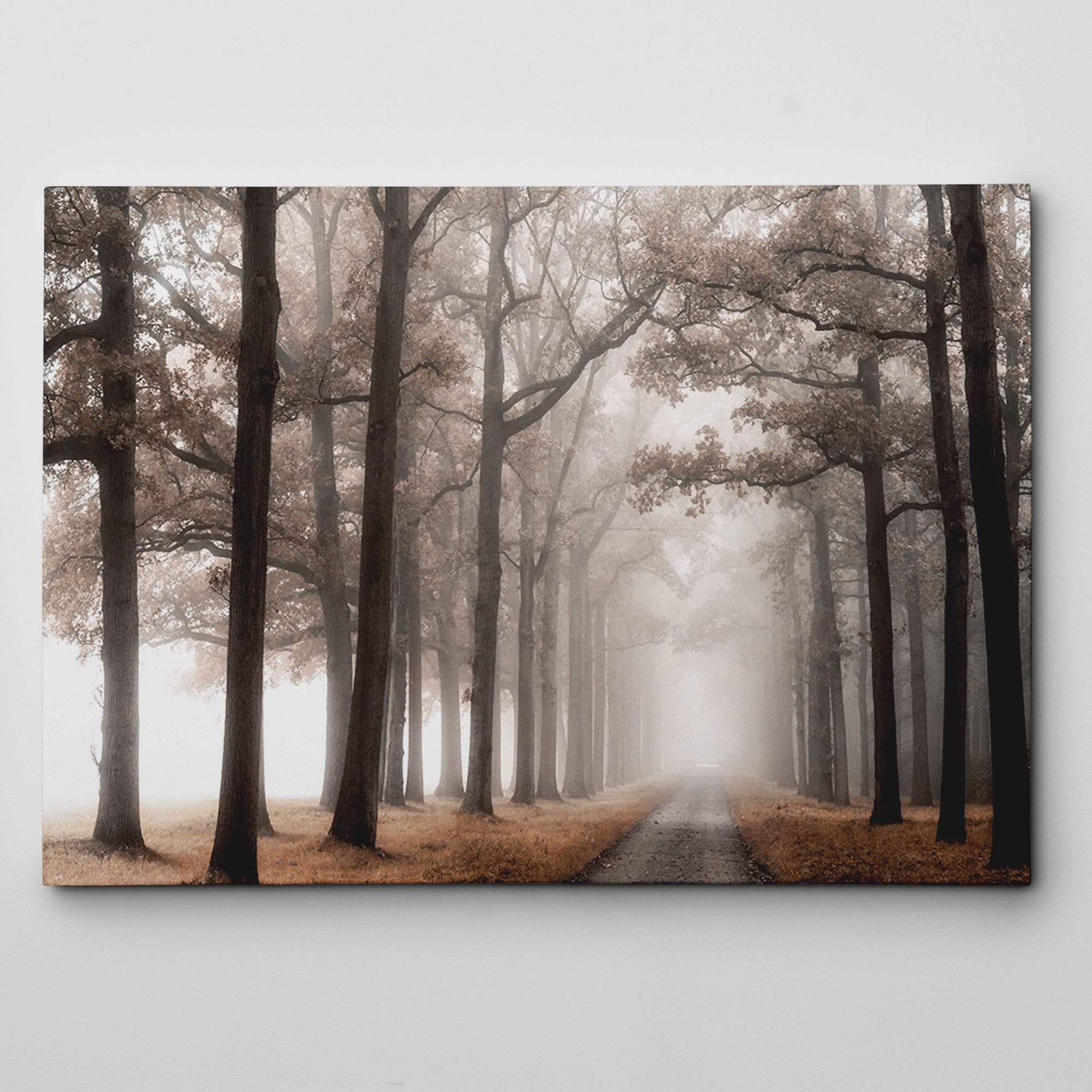 Misty Road Canvas Wall Art