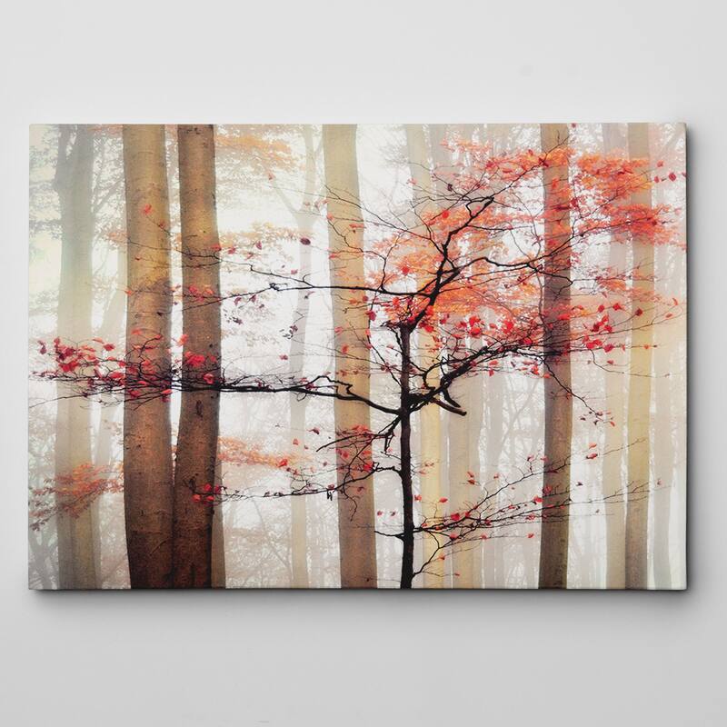 Orange Awakening Canvas Wall Art