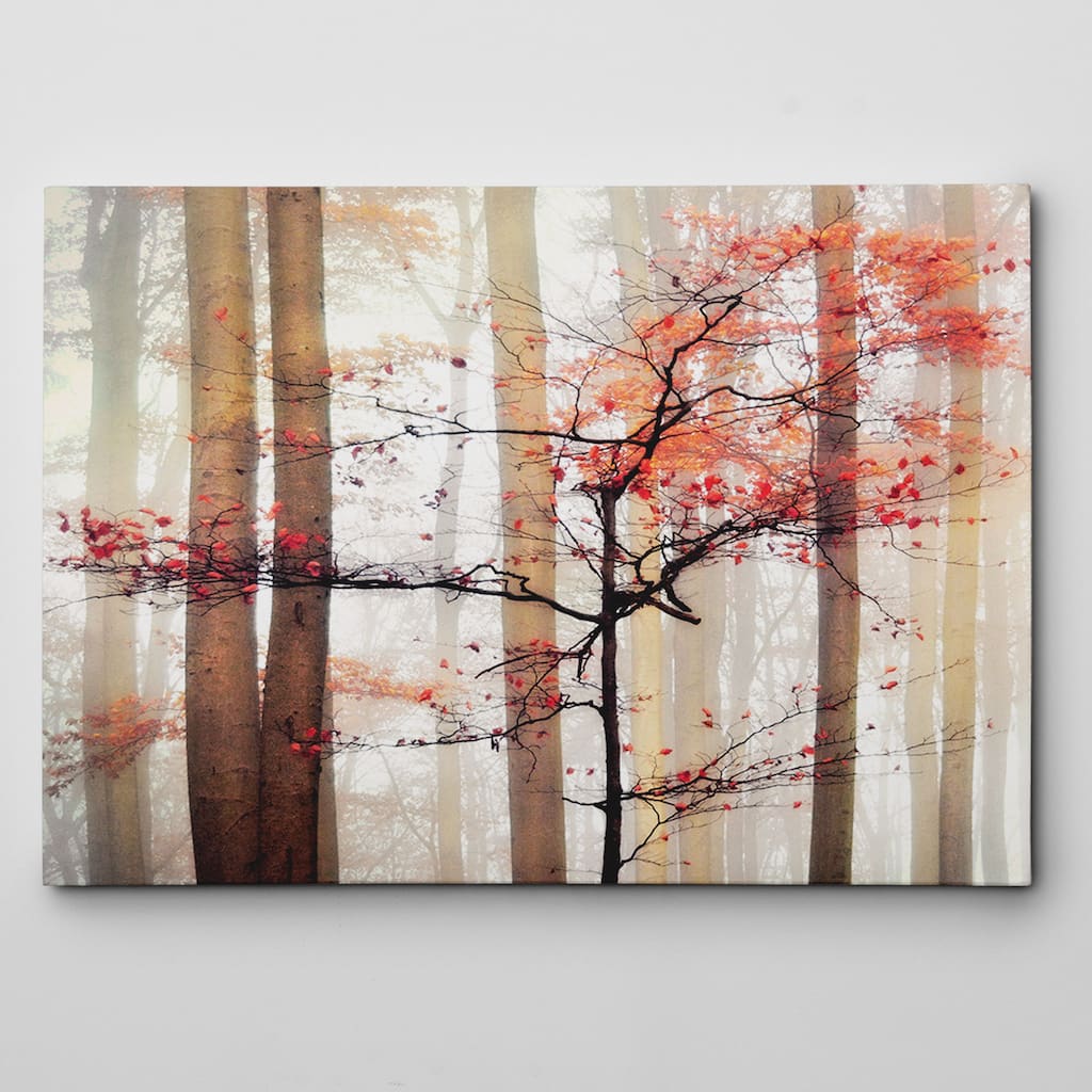 Orange Awakening Canvas Wall Art