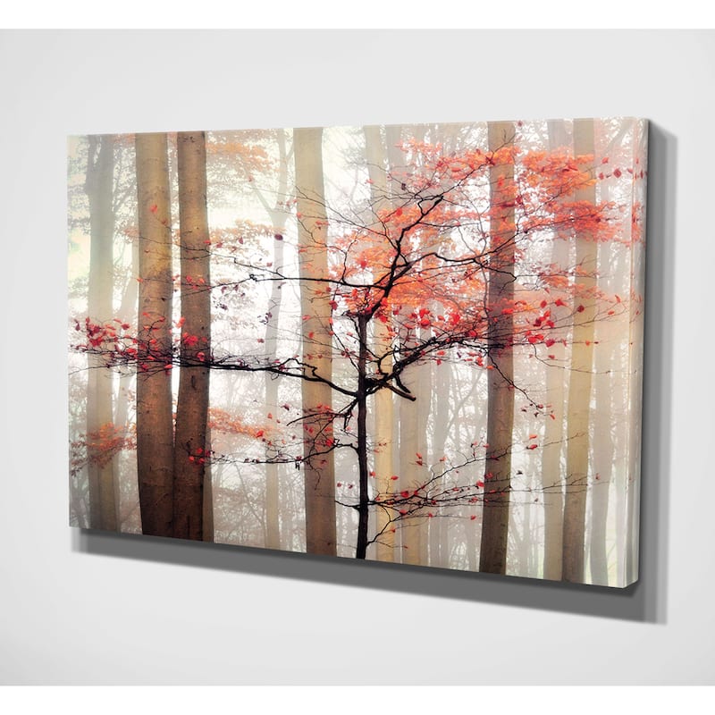 Orange Awakening Canvas Wall Art