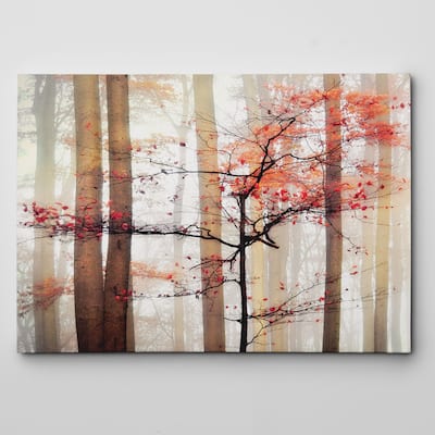 Orange Awakening Canvas Wall Art