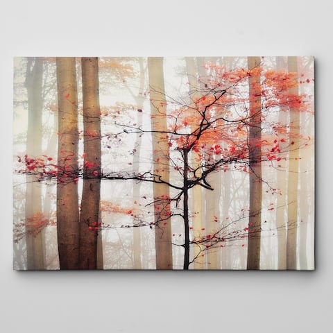 'Orange Awakening' Gallery-wrapped Canvas Wall Art
