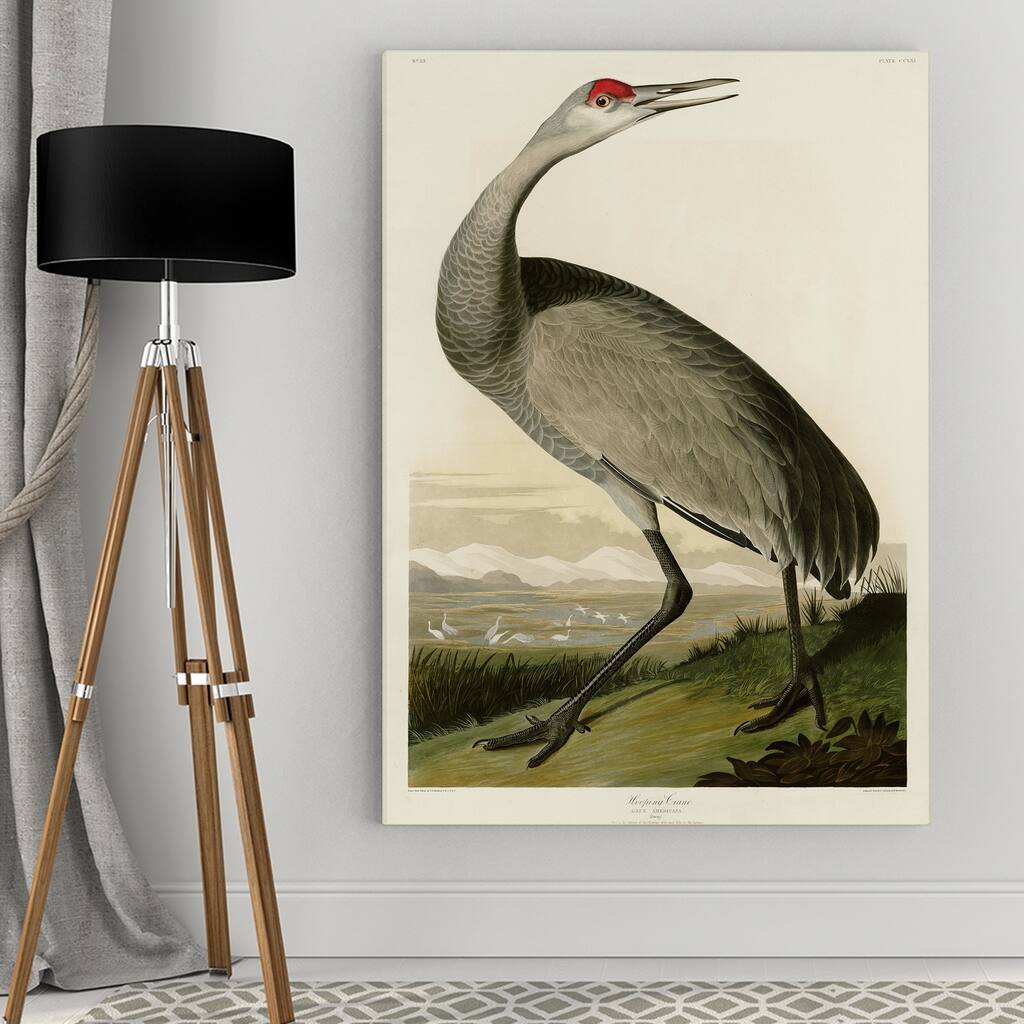 Whooping Crane Gallery Wrapped Canvas