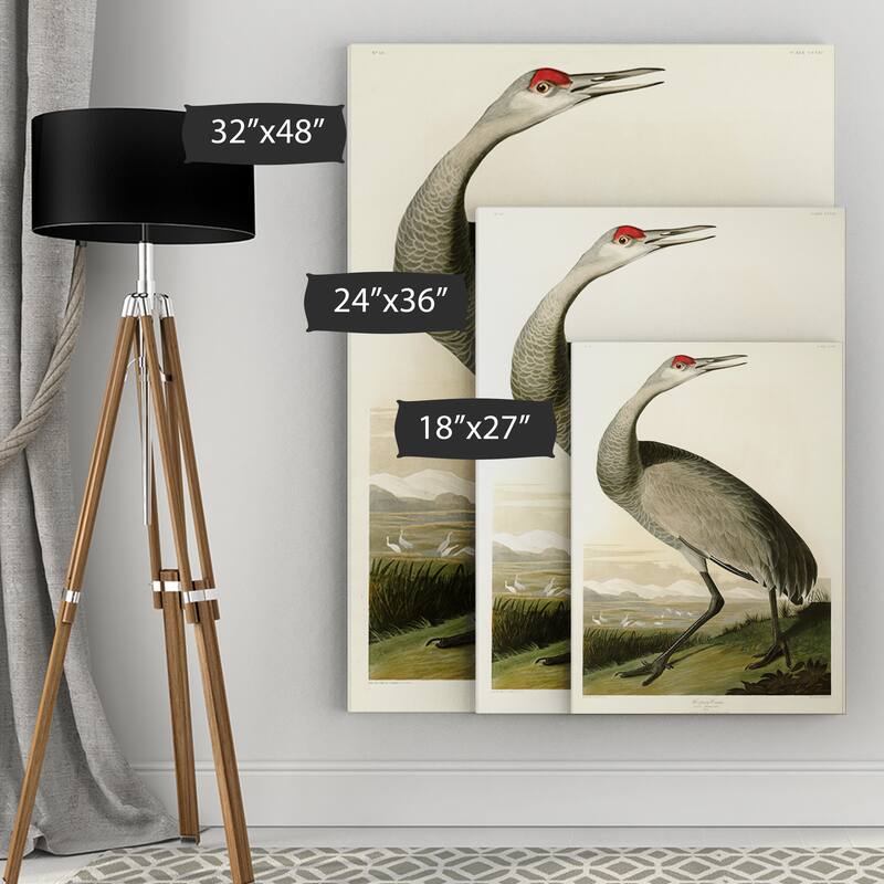 Whooping Crane Gallery Wrapped Canvas