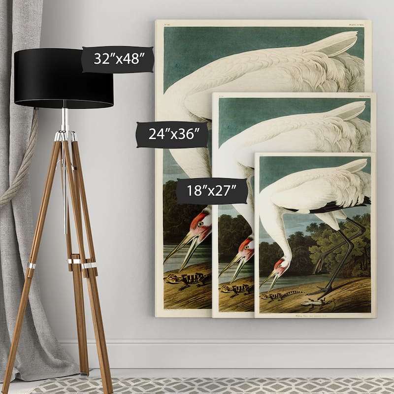 Wexford Home Audubon 'Hooping Crane' Giclee Canvas Wall Art