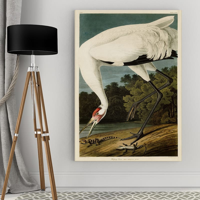 Wexford Home Audubon 'Hooping Crane' Giclee Canvas Wall Art