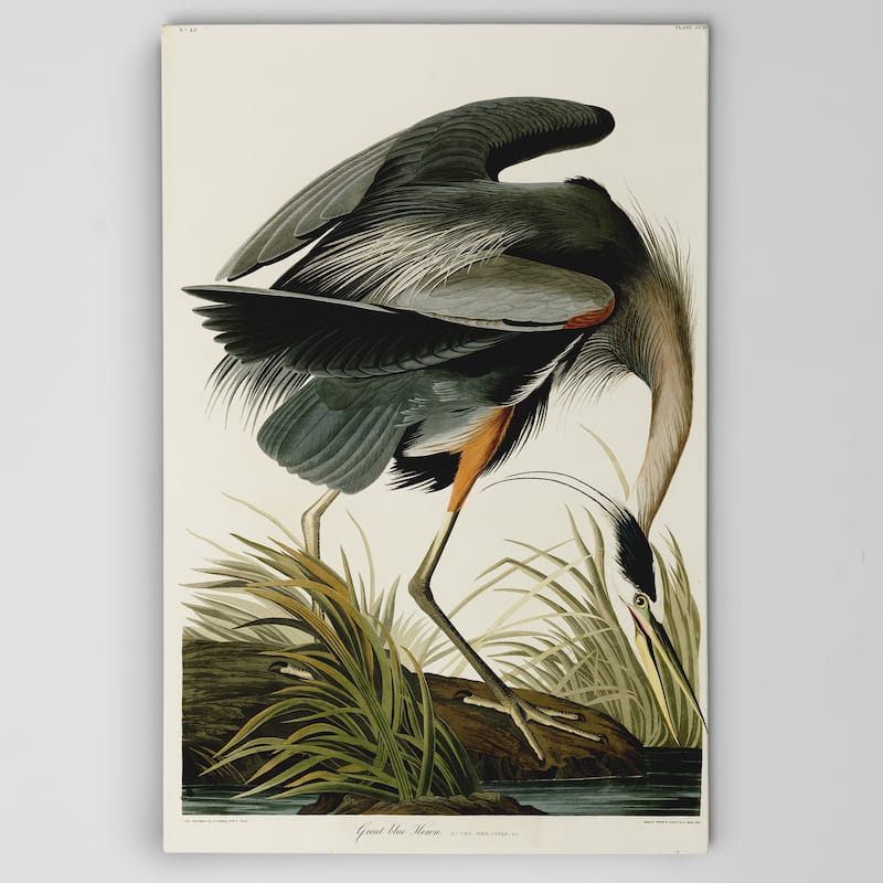 Wexford Home Great-Blue-Heron Canvas Wall Art