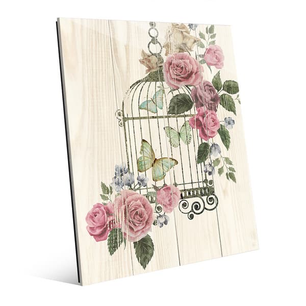 slide 1 of 1, 'Butterfly Cage' Acrylic Wall Art Print