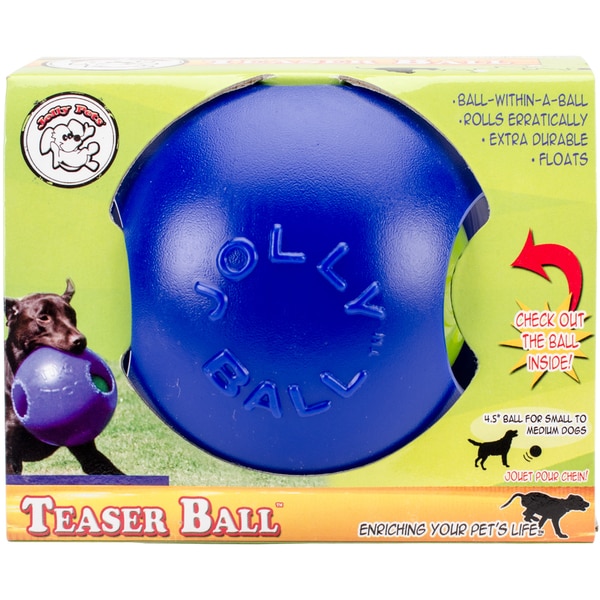 dog teaser toy