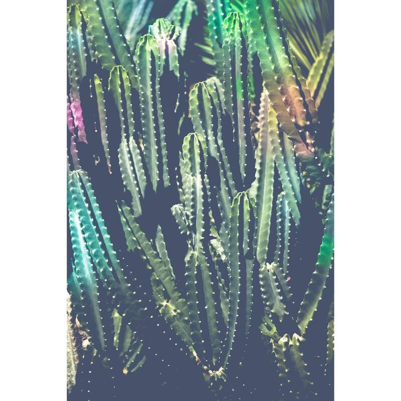 Marmont Hill - 'Cactus Jungle' by Ann Barnes Painting Print on Wrapped Canvas - Multi-Color