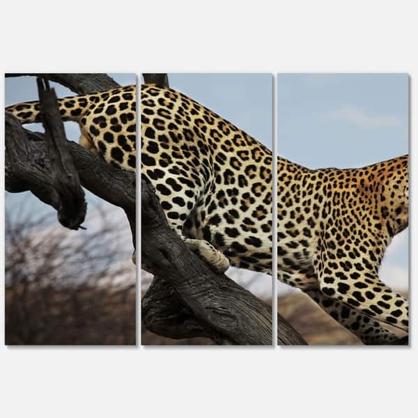 Designart 'Leopard Walking on Tree' African Glossy Metal Wall Art ...