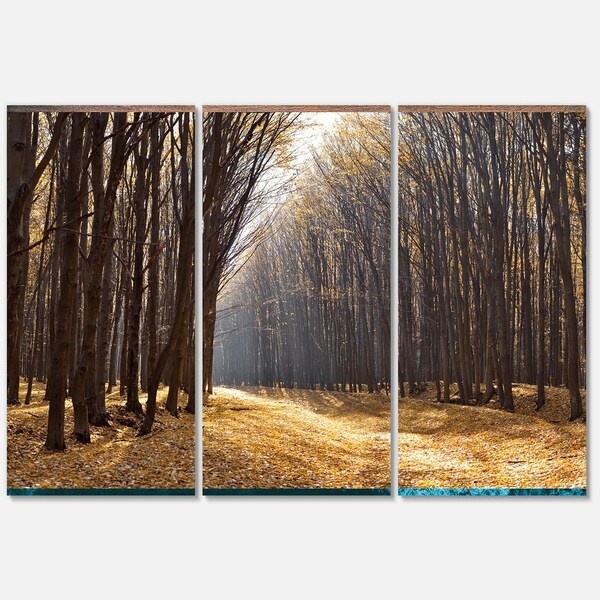 Designart 'Light in the Forest Path Panorama' Large Forest Glossy Metal ...