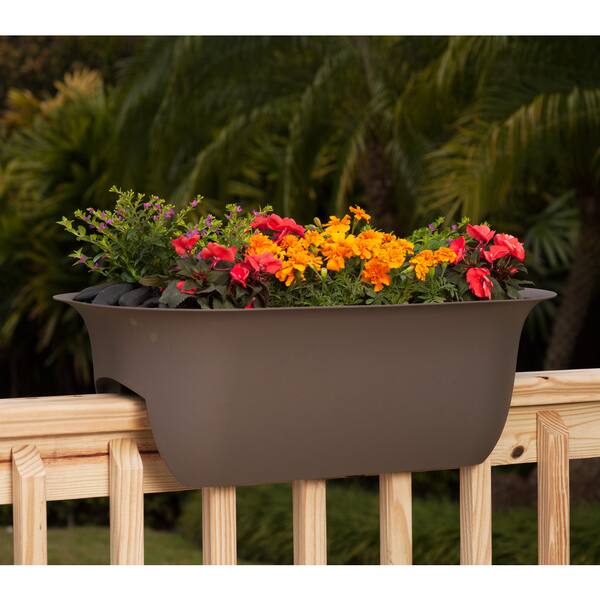 BLOEM 24 MODICA Rail Planter Passion Fruit Pack of 2
