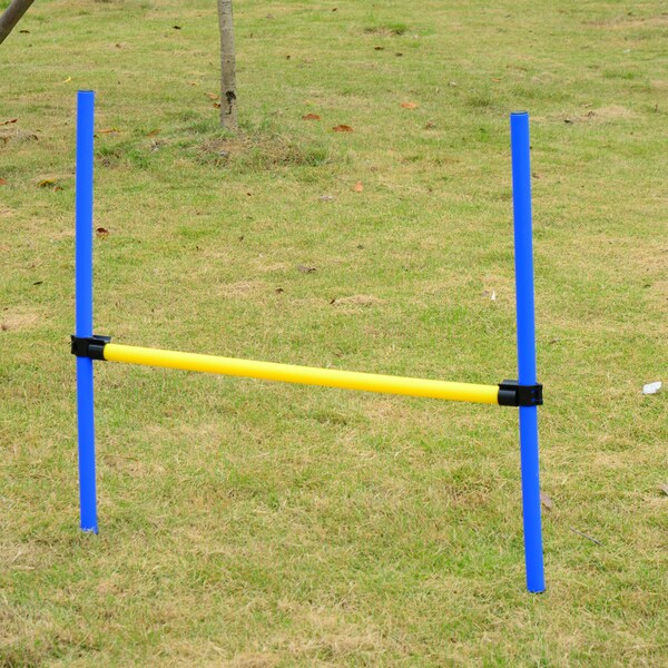 pawhut agility equipment