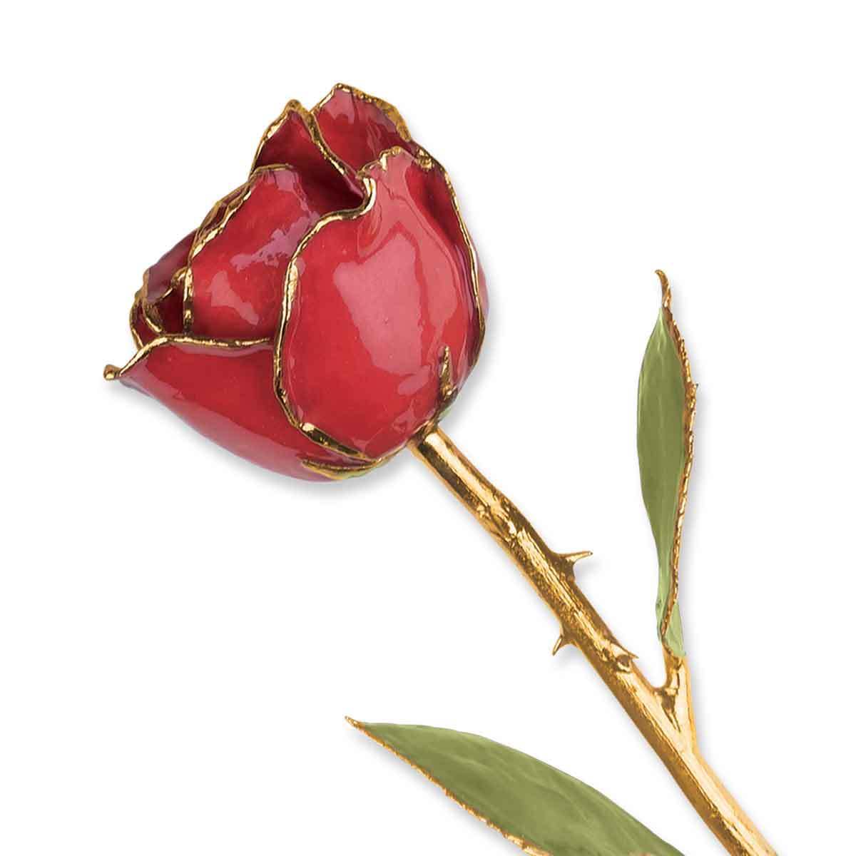 Lacquer Dipped 24k Gold Trim Ruby Sun Real Rose Lacquer Dipped 24k Gold Trim Ruby Sun Real Rose
