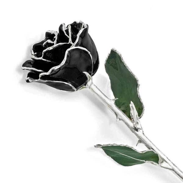 Lacquer Dipped Silver Trimmed Black Natural Preserved Rose Lacquer Dipped Silver Trimmed Black Natural Preserved Rose