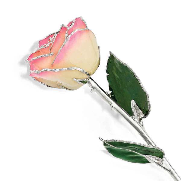 Lacquer Dipped Silver Plated Trimmed Green Leaf And White Pink Rose On Sale Overstock 14205792