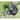 Bloem Easy Pour Watering Can, 2.6 Gallon, Black