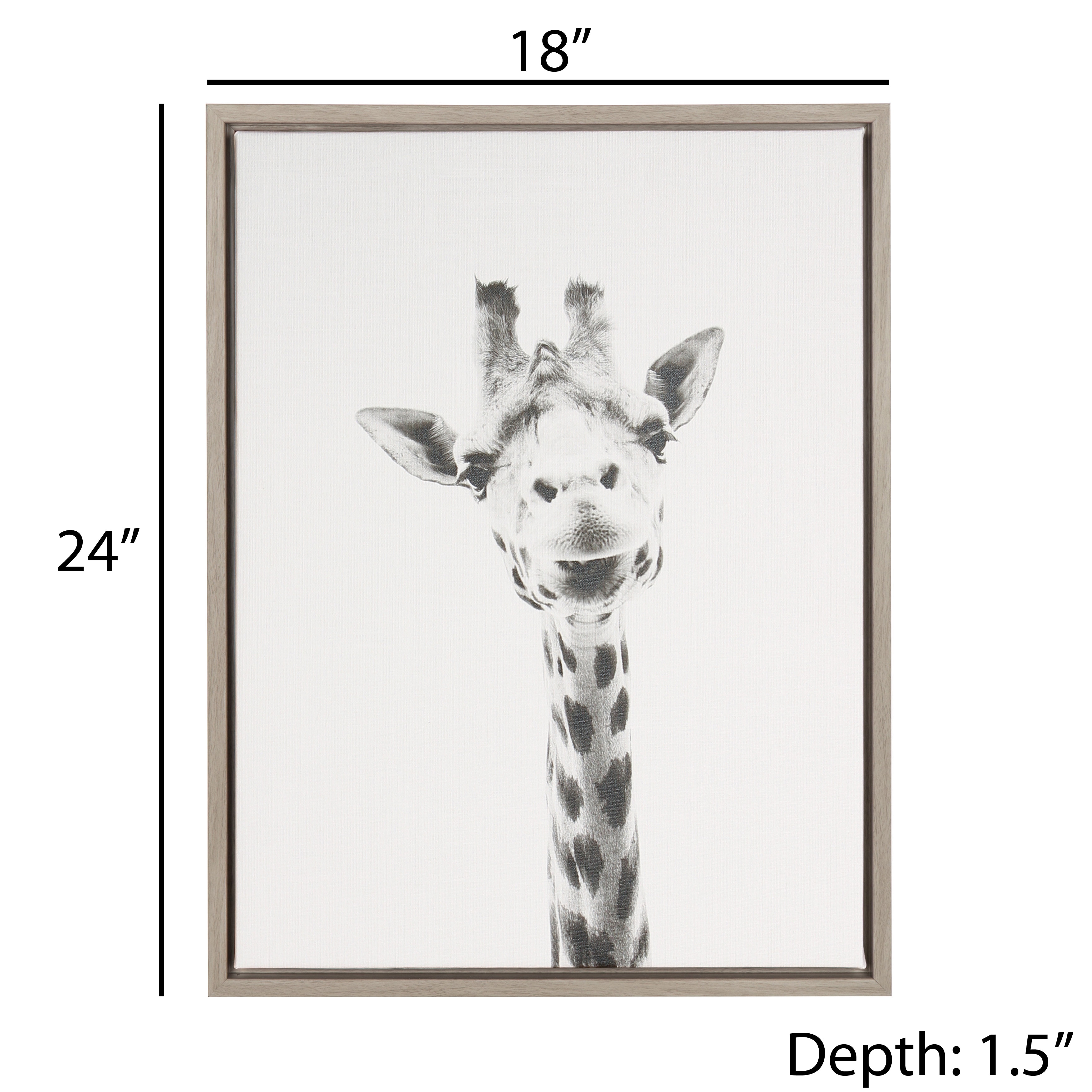 Top Product Reviews for Kate and Laurel Sylvie Giraffe Animal Print Black  and White Portrait Framed Canvas Wall Art by Simon Te Tai, 18x24 Gray  14219049 Bed Bath  Beyond