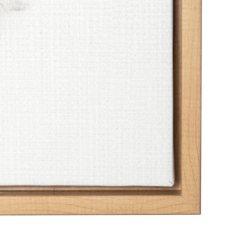 Kate and Laurel Sylvie Rabbit Framed Canvas by Simon Te Tai - 23x33 - Plastic - Natural