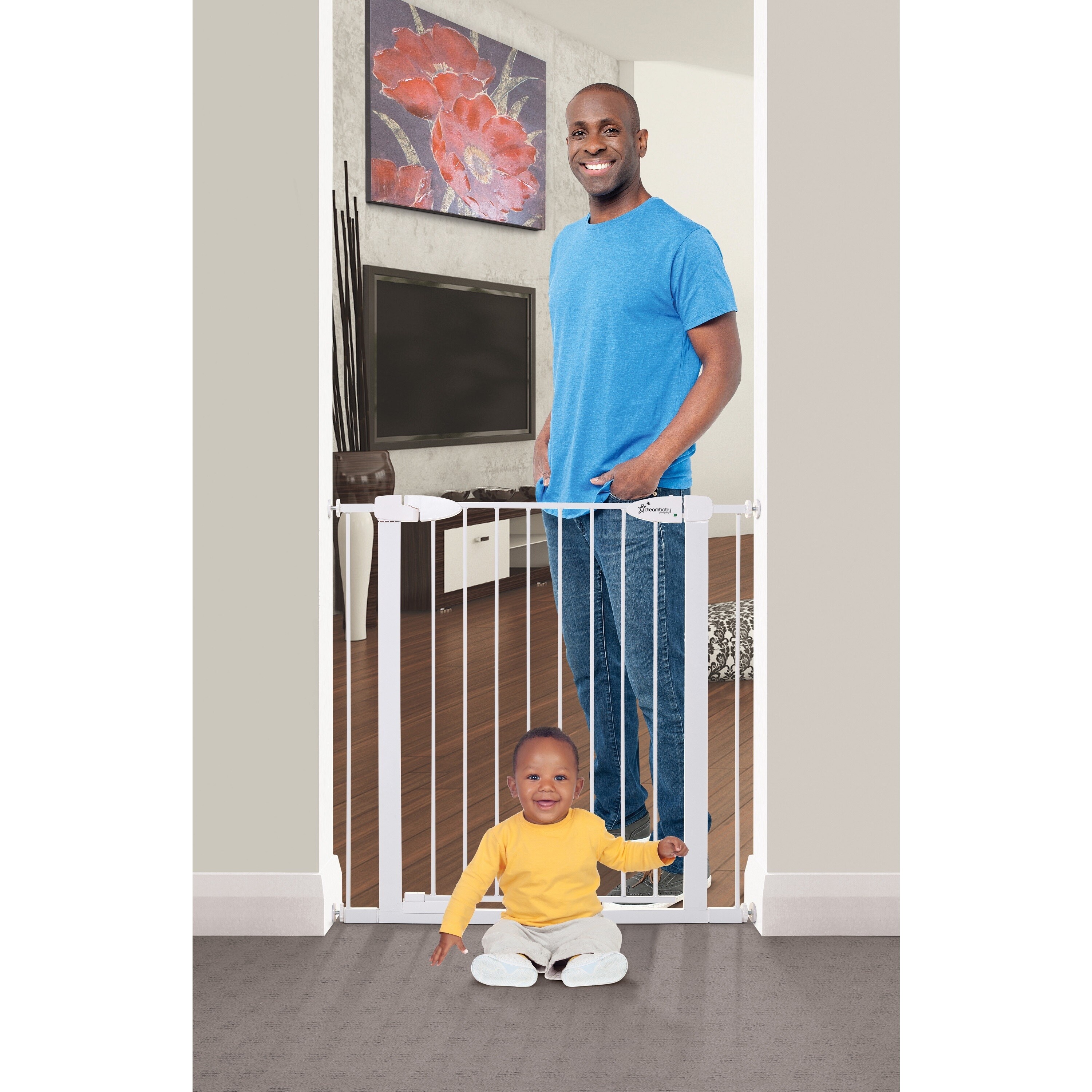 dreambaby boston gate