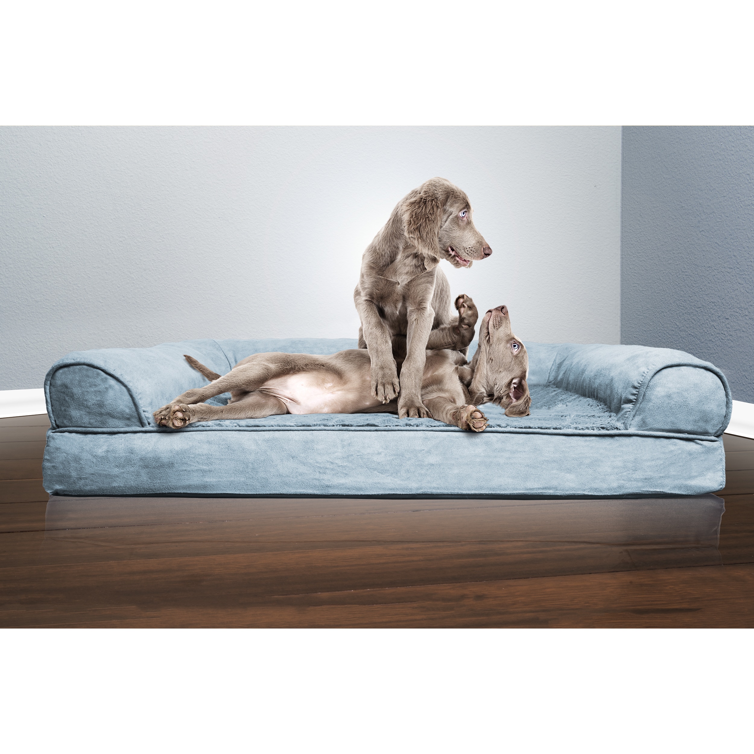 Furhaven plush & hotsell suede orthopedic sofa dog