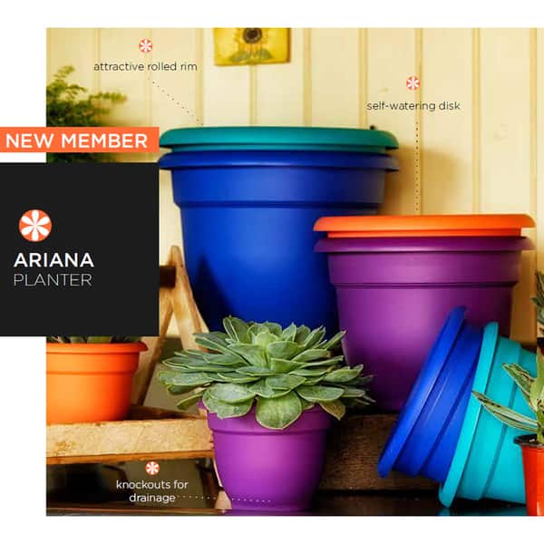 Bloem Ariana 10 Inch Planter With Self Watering Grid On Sale Overstock 14249199