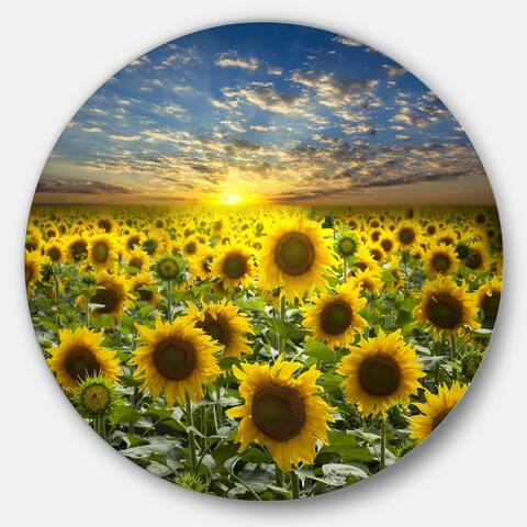 Designart 'Field of Blooming Sunflowers' Flower Circle Metal Artwork