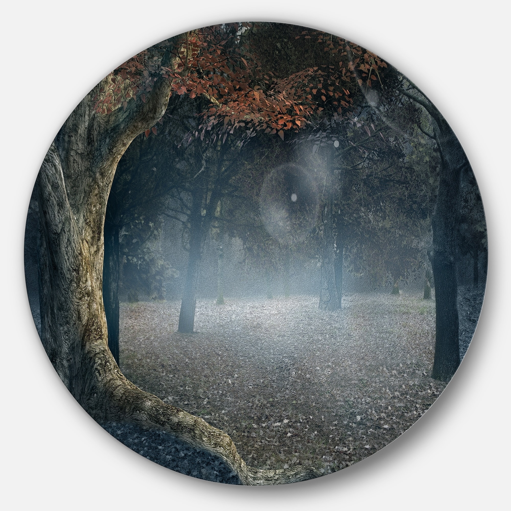 Designart Big Trees in Dark Foggy Forest - Landscape Photography