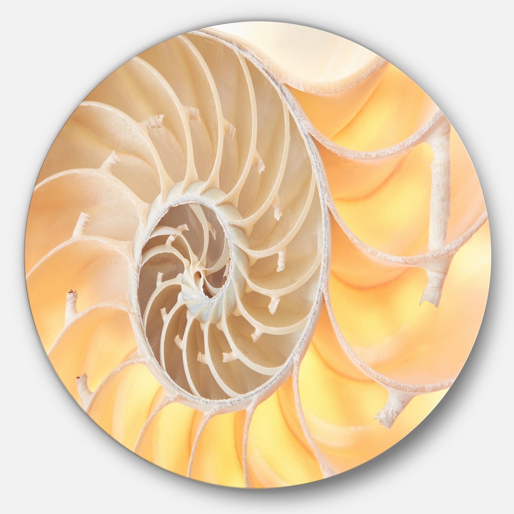 Designart Golden Nautilus Shell Pattern Abstract Art Round Metal Wall Art Overstock