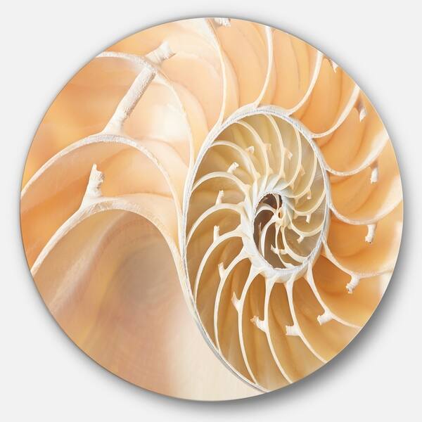 Designart Brown Nautilus Shell Pattern Abstract Art Large Disc Metal Wall Art Overstock