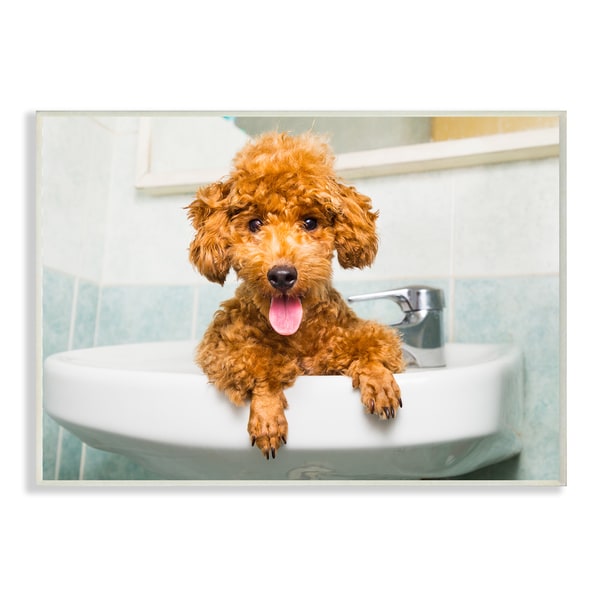 The Stupell Home Decor Collection 'Goldendoodle Puppy Sink