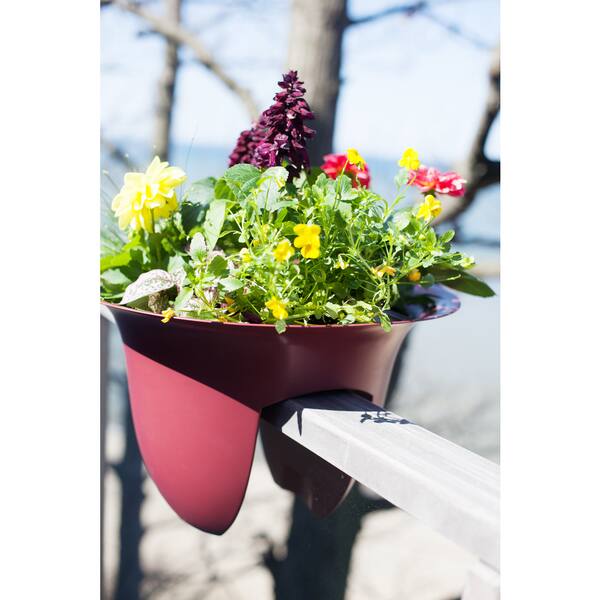 BLOEM 24 MODICA Rail Planter Passion Fruit Pack of 2