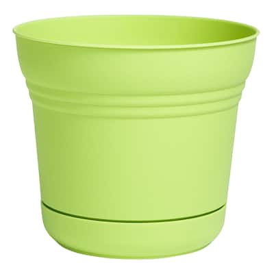 Bloem Saturn 10-inch Honey Dew Planter