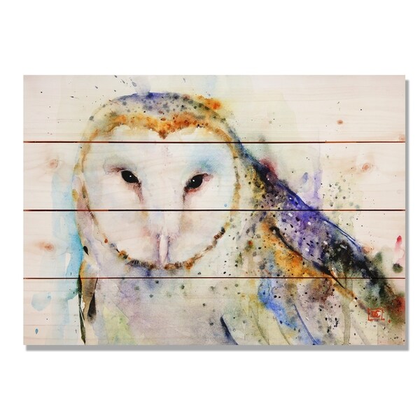 Barn Owl 20x14 Indoor/Outdoor Full Color Wall Art