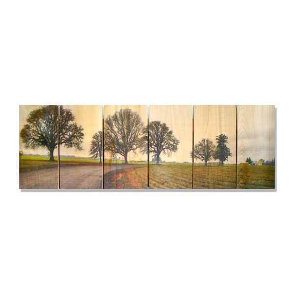 Emily's Road 32x11 Indoor/Outdoor Full Color Cedar Wall Art