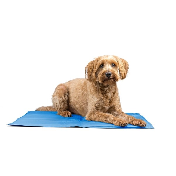 pupsicle cool gel pet pad mat reviews