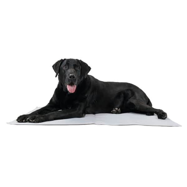 Shop Furhaven Pet Cooling Pad Pupicicle Cooling Gel Dog Mat