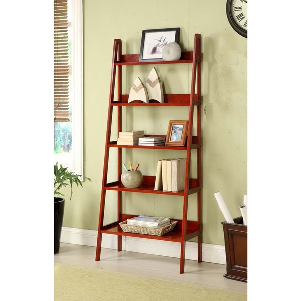 Modern Leaning Ladder Bookcase with Simple Decor